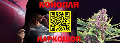 гашик Нальчик